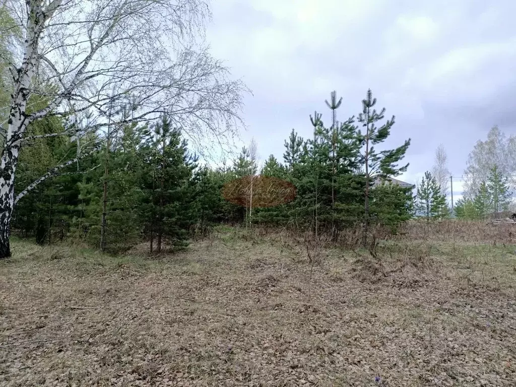 Участок в Тюменская область, Тюменский район, с. Перевалово Трактовая ... - Фото 1