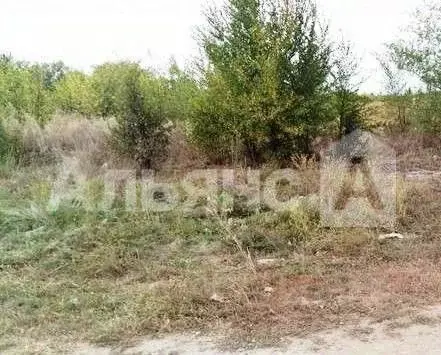 Участок в Ростовская область, Каменск-Шахтинский ул. Текстильщиков ... - Фото 1