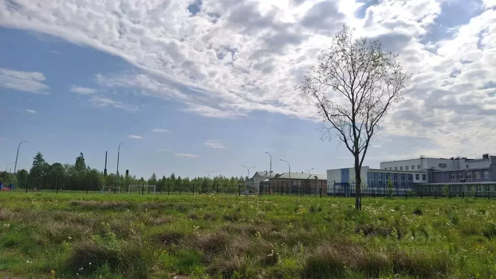 Участок в Новгородская область, Малая Вишера ул. Липовая Аллея (9.0 ... - Фото 1