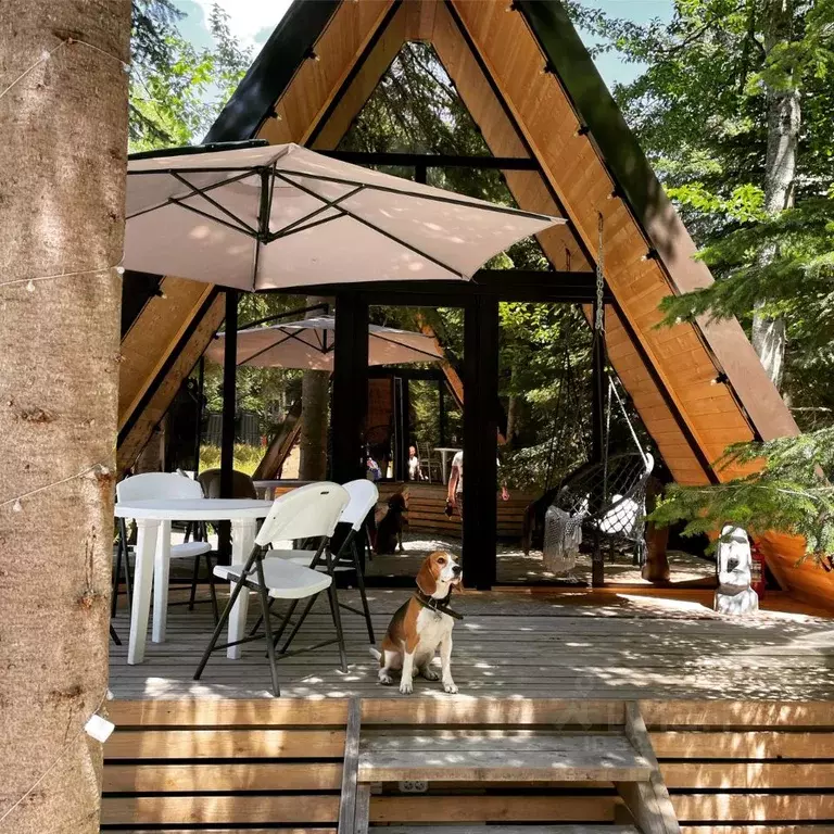 Дом в Карачаево-Черкесия, Зеленчукский район, с. Архыз, Зеленчукское ... - Фото 1