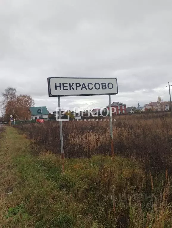 Участок в Костромская область, Костромской район, Шунгенское с/пос, д. ... - Фото 1