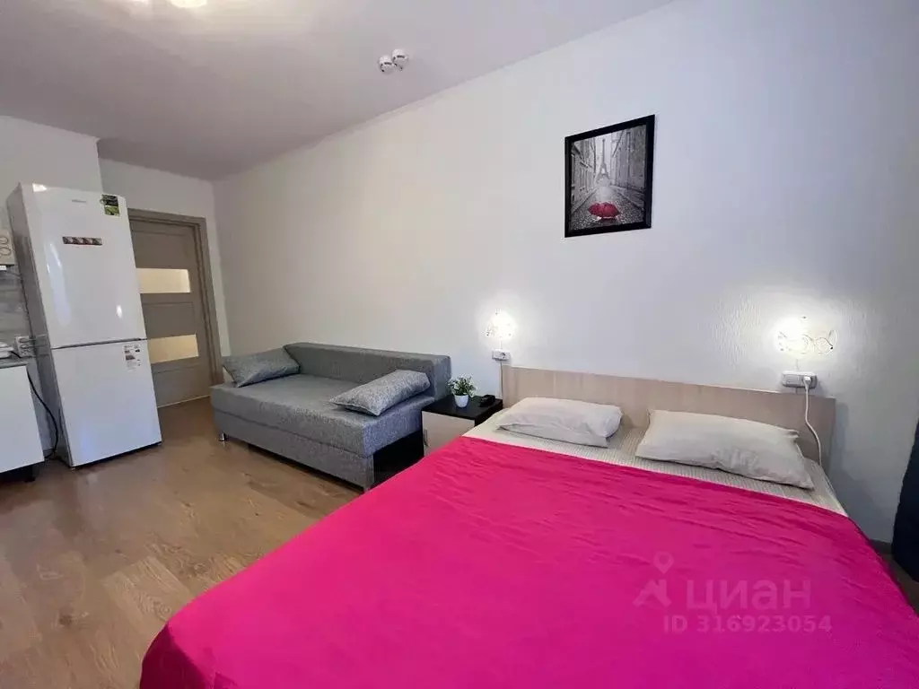 Студия Санкт-Петербург просп. Энергетиков, 9к6 (27.0 м) - Фото 0