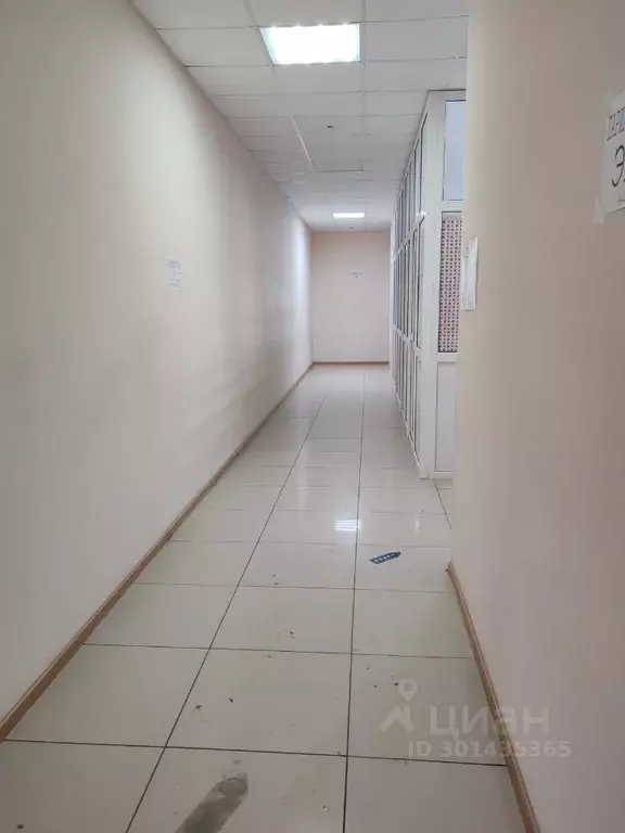 Офис в Белгородская область, Белгород ул. Губкина, 25Б (17 м) - Фото 1