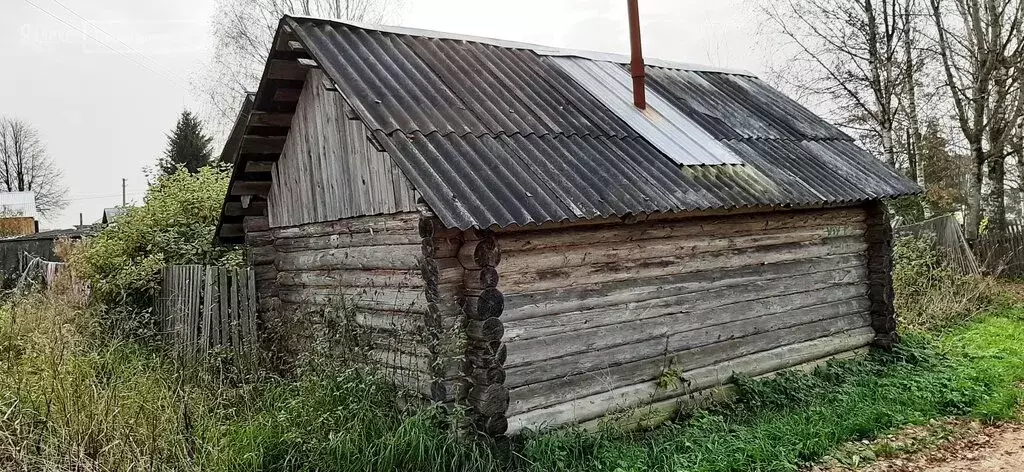 Лагерь единство грязовецкий. Чагрино вологодская область. Вараксино удмуртия. Деревня хорошево вологодская область. Кедровая роща в грязовецком районе.