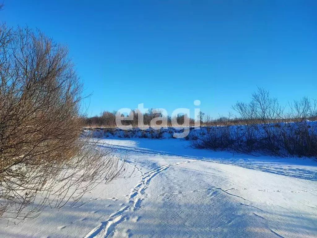 Участок в Красноярский край, Березовский район, Бархатовский ... - Фото 0