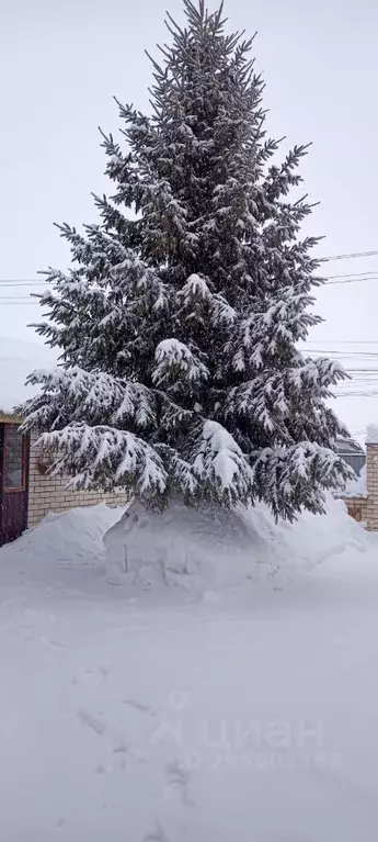 Дом в Саратовская область, Хвалынск 1 Мая ул., 130 (120 м) - Фото 2