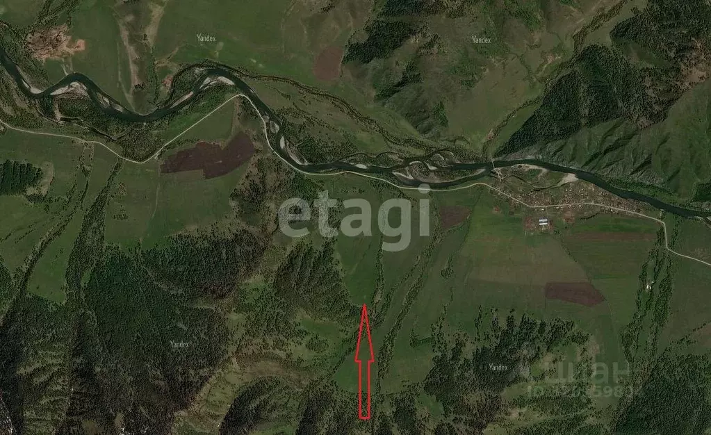 Участок в Алтай, Усть-Канский район, с. Владимировка  (900.0 сот.) - Фото 1