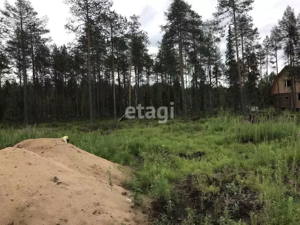 Участок в Коми, Корткеросский район, Додзь муниципальное образование, ... - Фото 0