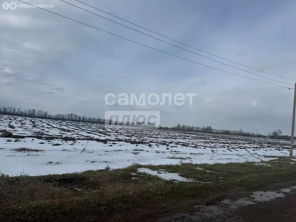 Участок в Республика Марий Эл, городской округ Йошкар-Ола, деревня ... - Фото 1