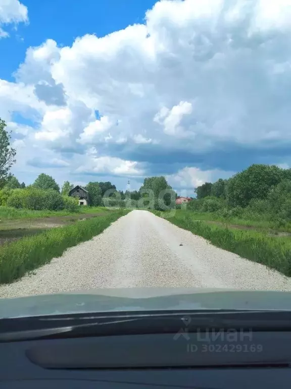 Участок в Владимирская область, Муромский район, Ковардицкое ... - Фото 1