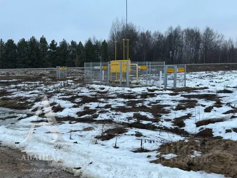 Участок в Московская область, Клин городской округ, д. Щекино ул. ... - Фото 0