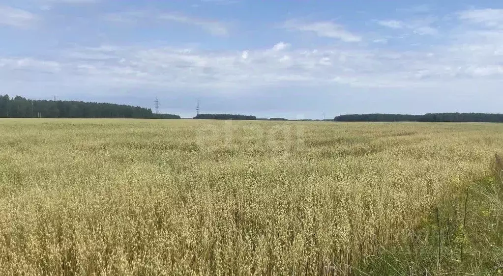 Участок в Тюменская область, Нижнетавдинский муниципальный округ, ... - Фото 1