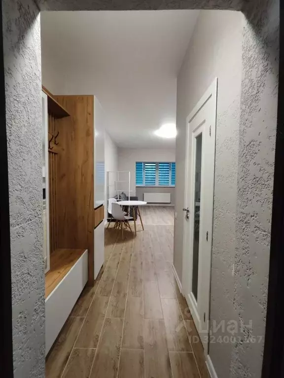 Студия Московская область, Чехов Русская ул., 30А (30.0 м) - Фото 2