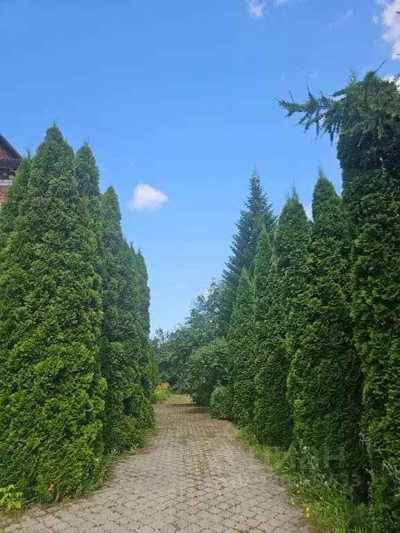 Дом в Татарстан, Казань ул. Медовая, 12 (420 м) - Фото 2