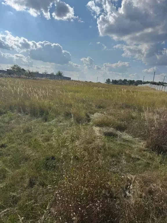 Участок в Самарская область, Красный Яр с/пос, пос. Угловой, Зона ... - Фото 1