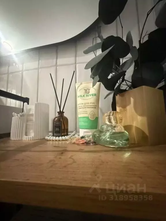 1-к кв. Татарстан, Казань Лево-Булачная ул., 24/20 (22.0 м) - Фото 2