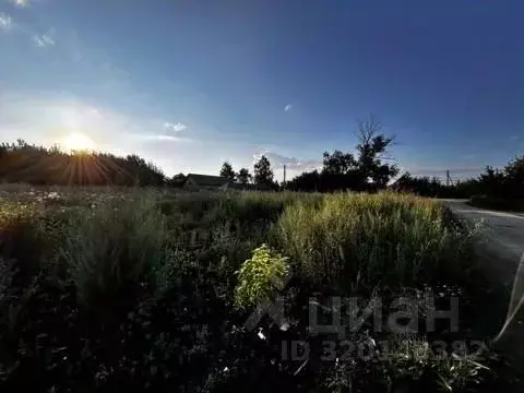 Участок в Пензенская область, с. Бессоновка ул. Пионерская (643.0 ... - Фото 2