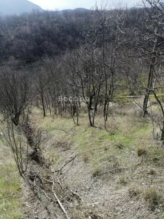 Участок в Крым, Алушта городской округ, с. Виноградное ул. Нижняя (8.5 ... - Фото 1