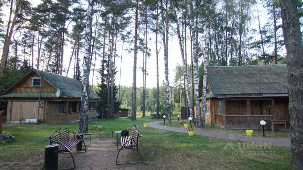 Дом в Нижегородская область, Семеновский муниципальный округ Р-177 ... - Фото 1