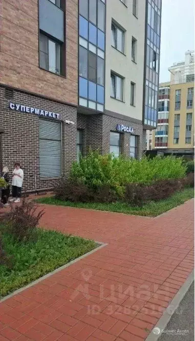 Помещение свободного назначения в Ленинградская область, Всеволожский ... - Фото 2