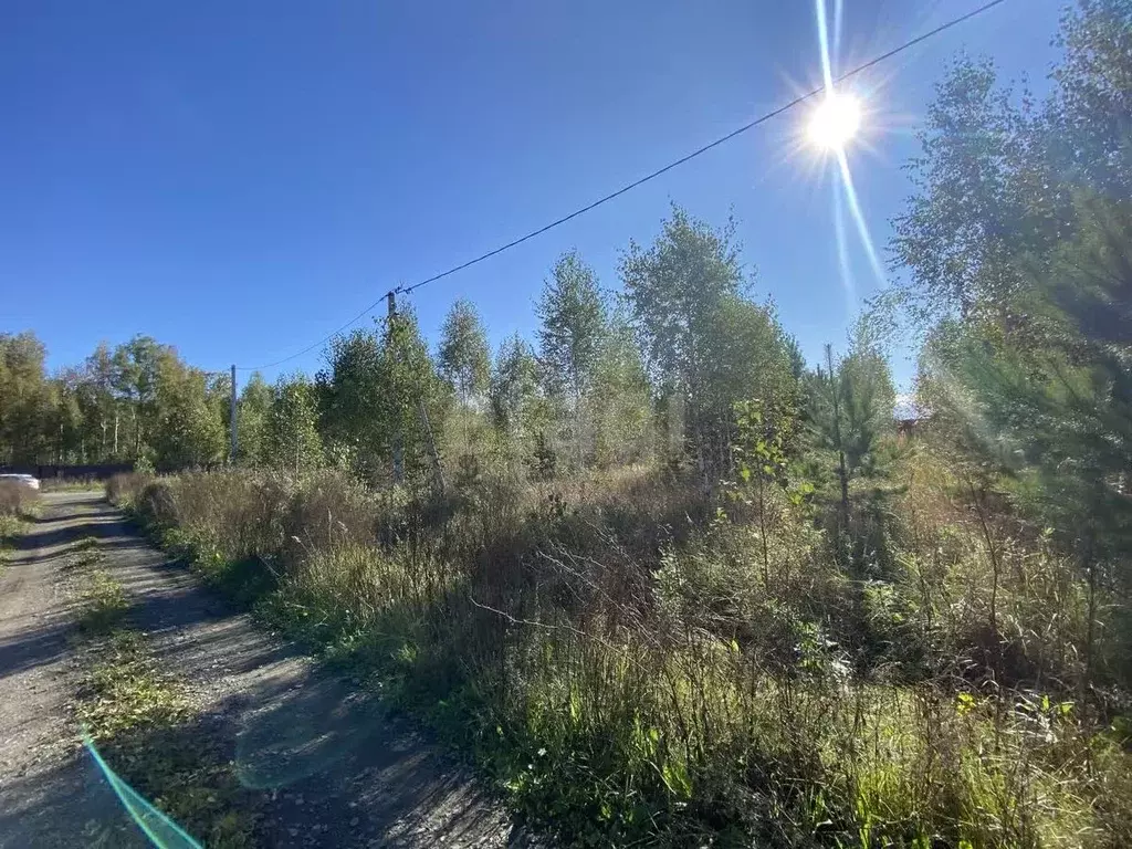 Участок в Курганская область, Кетовский муниципальный округ, пос. ... - Фото 1