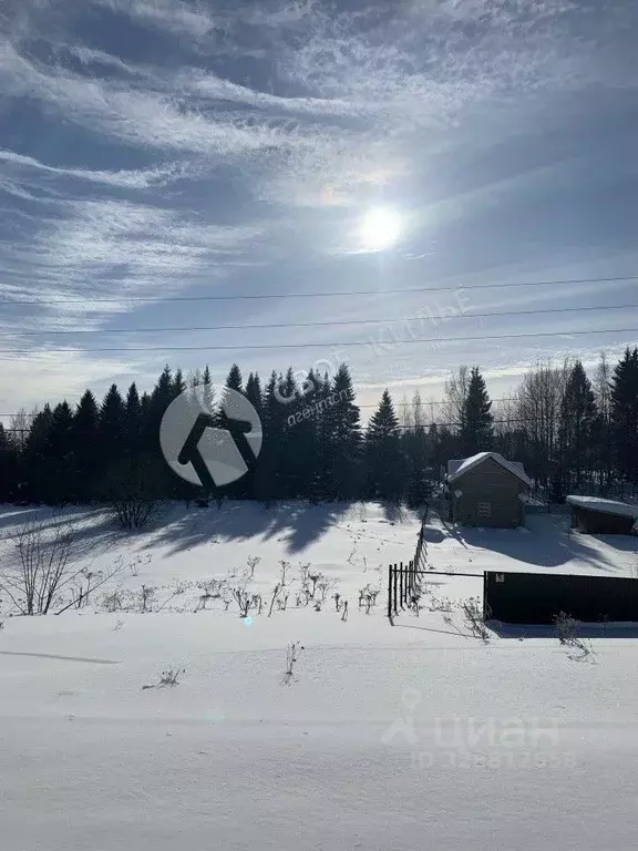 Участок в Пермский край, Пермский муниципальный округ, д. Заозерье ... - Фото 2