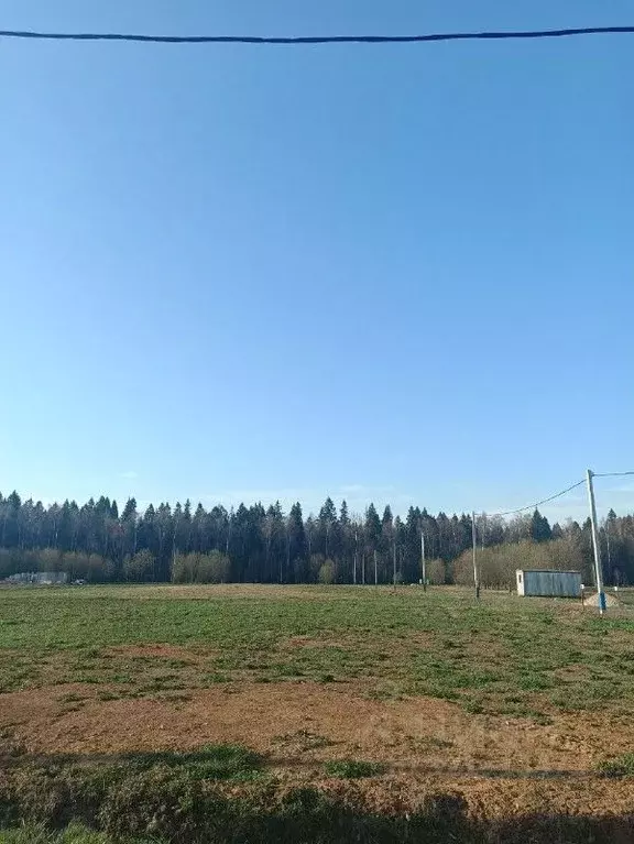 Участок в Московская область, Мытищи городской округ, д. Фелисово ул. ... - Фото 0