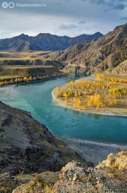 Участок в Онгудайский район, Купчегенское сельское поселение (4 м) - Фото 1