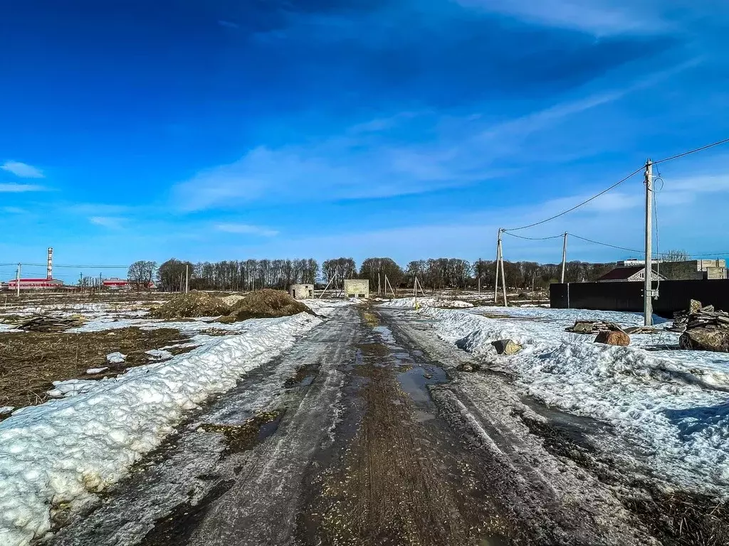 Участок в Ленинградская область, Ломоносовский район, Русско-Высоцкое ... - Фото 0