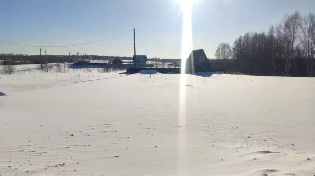 Участок в Томская область, Томский район, Удачный кп ул. Виноградная, ... - Фото 2