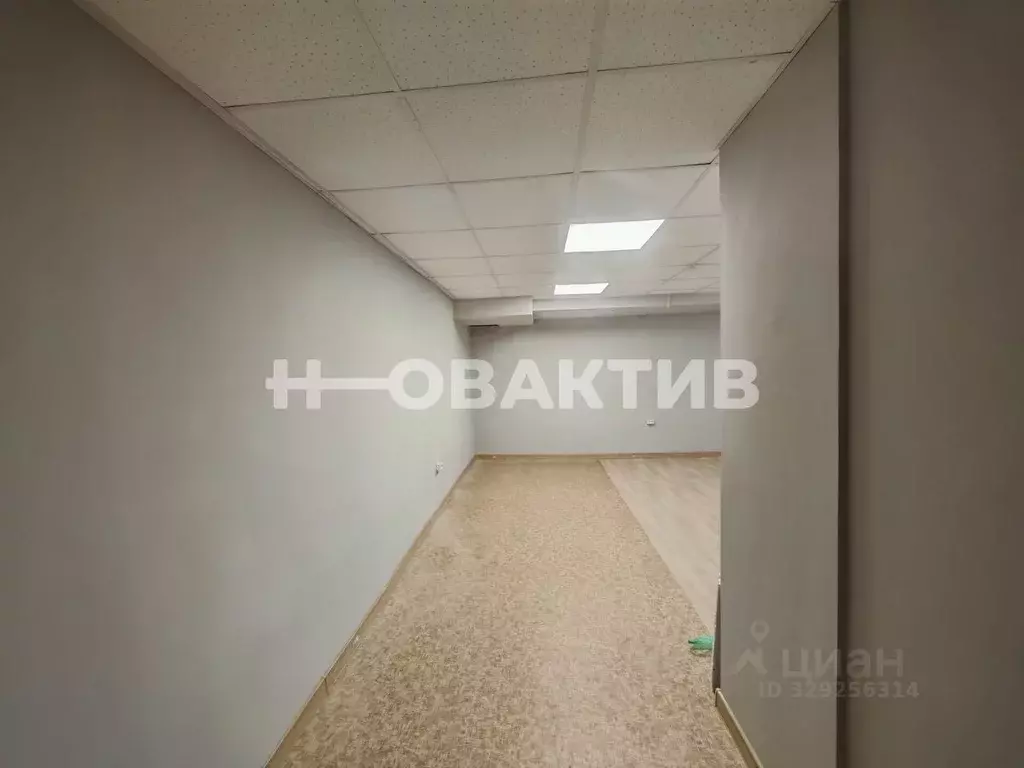 Помещение свободного назначения в Новосибирская область, Новосибирск ... - Фото 2