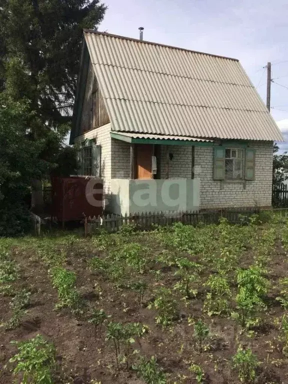 Дом в Курганская область, Кетовский муниципальный округ, Радуга СТ ул. ... - Фото 1