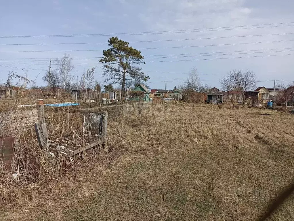 Участок в Хабаровский край, Хабаровск ул. Мичурина-2, 125 (8.0 сот.) - Фото 1