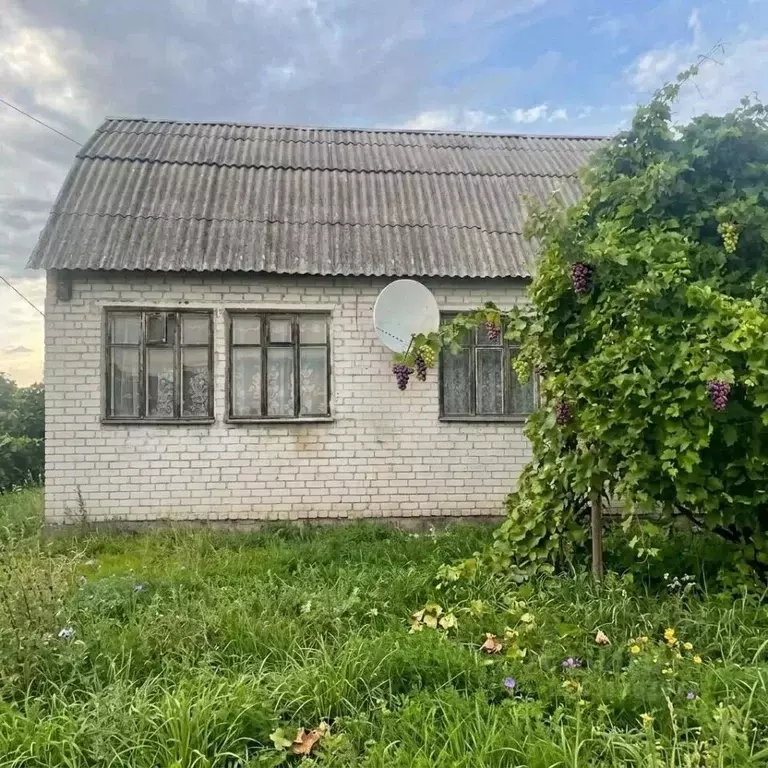 Дом в Липецкая область, Усманский муниципальный округ, с. Девица ул. ... - Фото 1