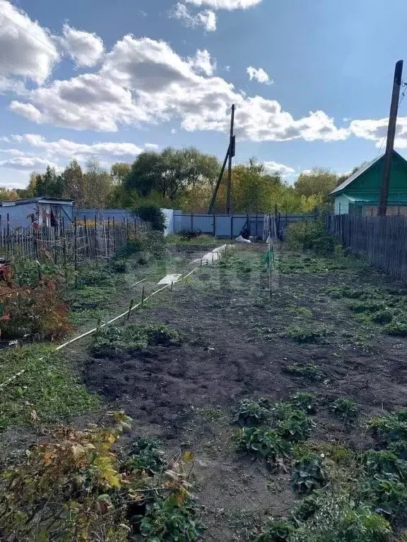 Участок в Омская область, Омск Радист СНТ, 164 (3.93 сот.) - Фото 1
