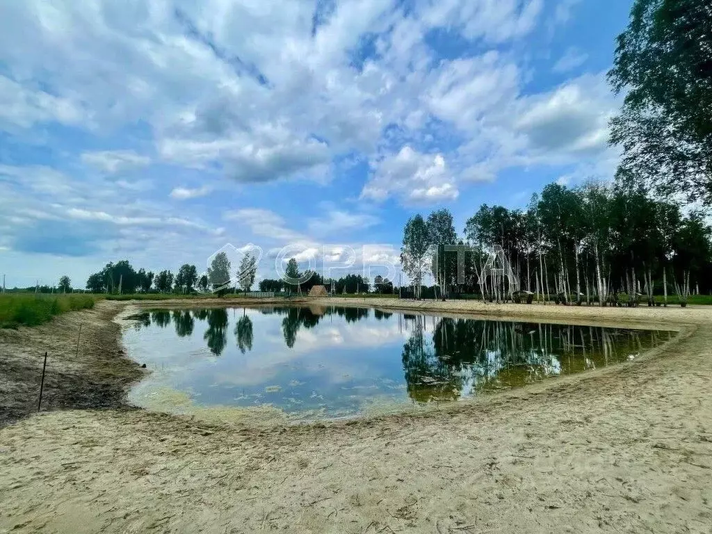 Участок в Тюменская область, Тюмень Березняки СНТ, ул. Васильковая ... - Фото 2