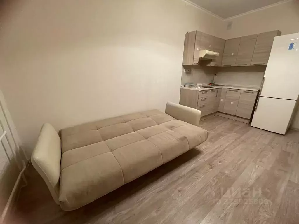 Студия Московская область, Солнечногорск городской округ, Голубое пгт ... - Фото 2