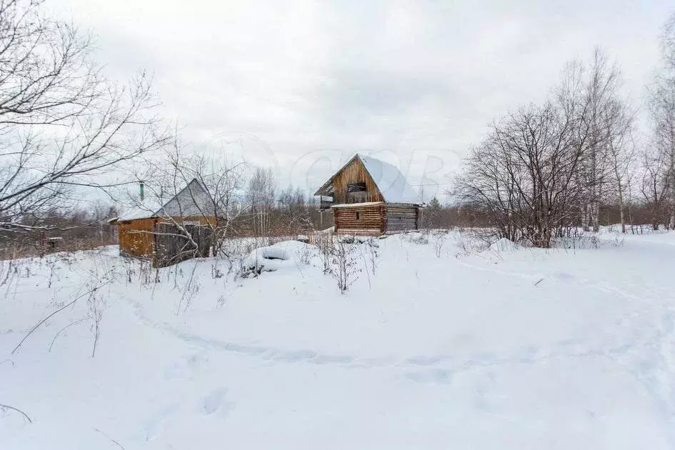 Участок в Башковское сельское поселение, деревня Соколовка (17 м) - Фото 1