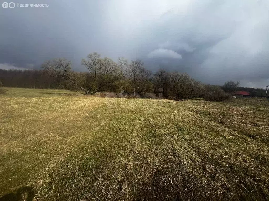 Участок в село Пчельники, улица Мира (12 м) - Фото 1