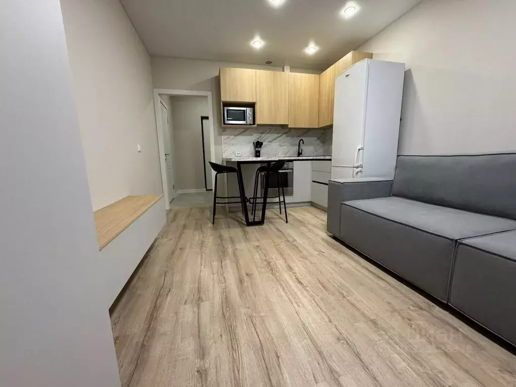 Студия Кировская область, Киров ул. Капитана Дорофеева, 12 (26.0 м) - Фото 2