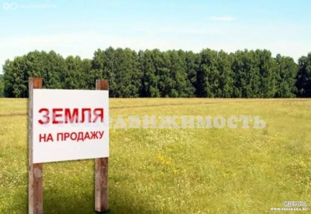 Участок в Республика Тыва, Пий-Хемский кожуун, село Сесерлиг (10 м) - Фото 2