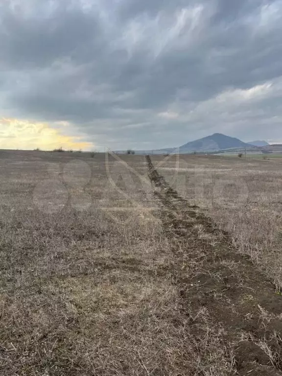 Участок 3,6 га (ИЖС) - Фото 0
