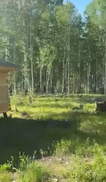 Участок 17 сот. (ИЖС) - Фото 0