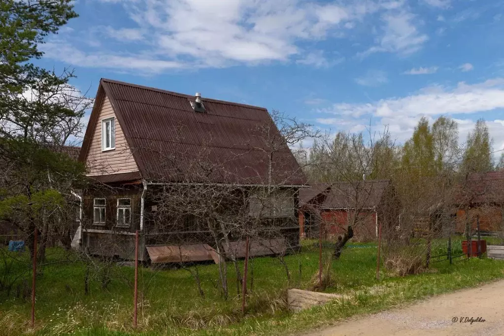 Участок в Ленинградская область, Лужский район, Мшинское с/пос, ... - Фото 1