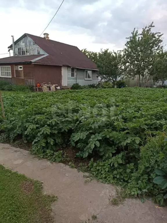 Дом в Калужская область, Боровский муниципальный округ, Кривское ... - Фото 1