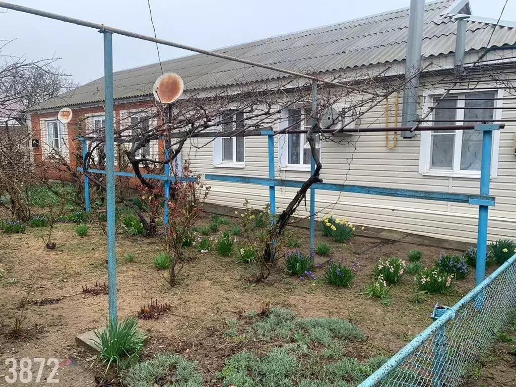 Дом в Краснодарский край, Темрюкский район, Фонталовское с/пос, пос. ... - Фото 2