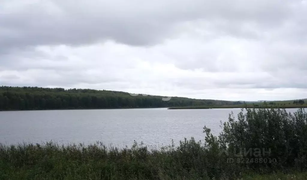 Участок в Новосибирская область, Искитимский район, Улыбинский ... - Фото 1