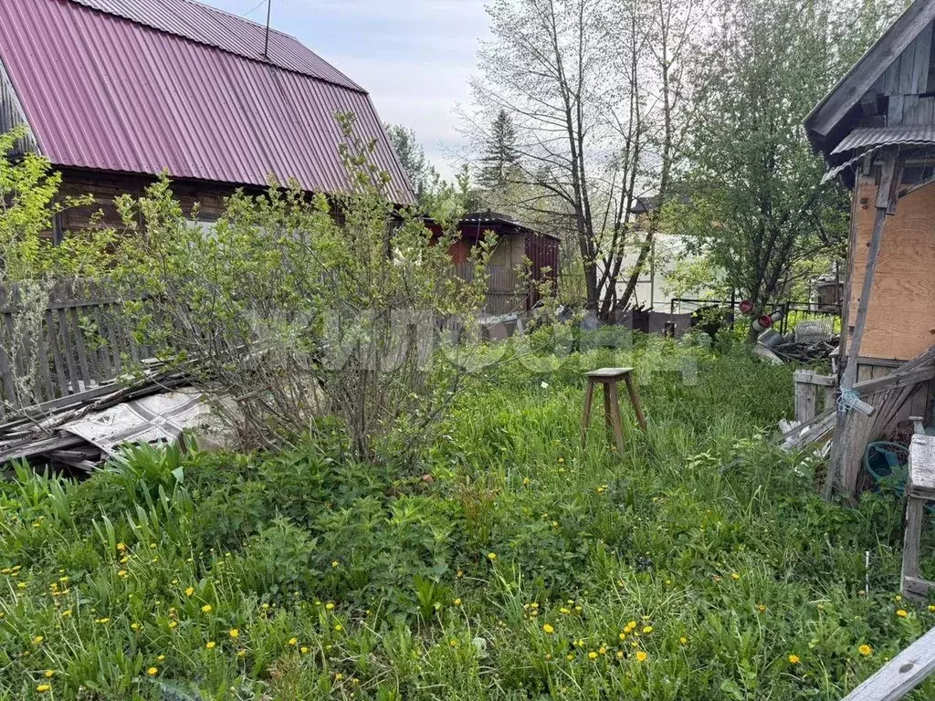 Участок в Новосибирская область, Новосибирск ул. Декабристов, 223А ... - Фото 1