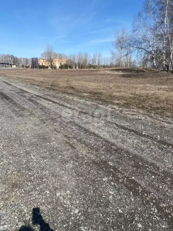 Участок в Кемеровская область, Кемеровский муниципальный округ, с. ... - Фото 0