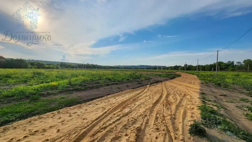 Участок в Воронежская область, Хохольский район, Новогремяченское ... - Фото 2